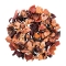 Wildkirsch Fr�chtetee