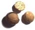 Muskat St�ck 0,60�